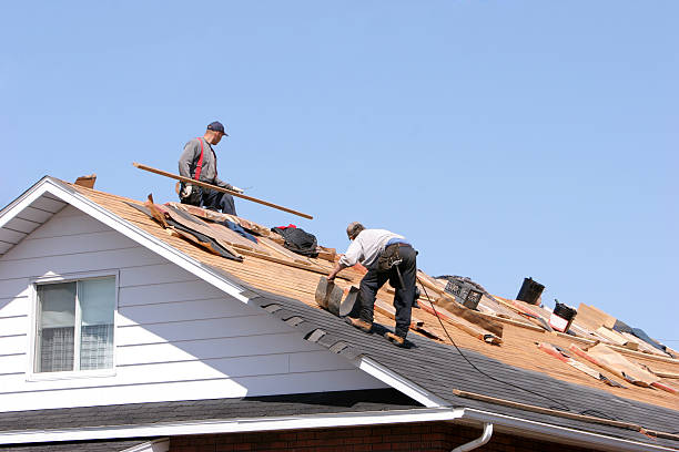 Best Roof Maintenance and Cleaning  in Everett, WA